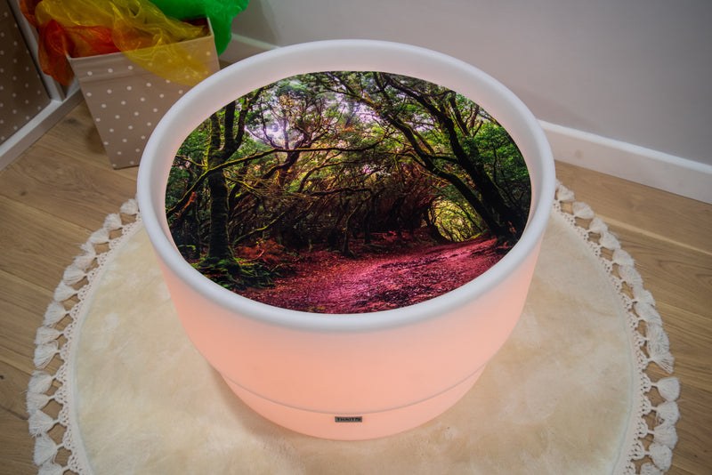 Discovery Jurassic Sensory Bundle, Learning SPACE