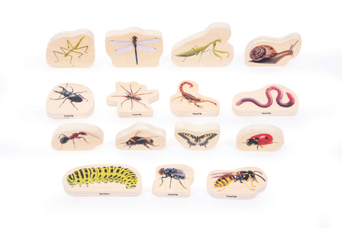 Discovery Jurassic Sensory Bundle, Learning SPACE