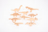Discovery Jurassic Sensory Bundle, Learning SPACE