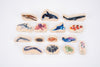 Discovery Table Sea Bundle, Learning SPACE