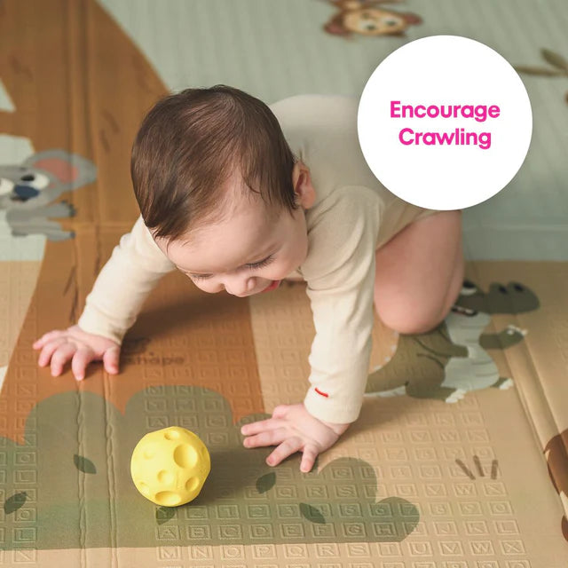 Edushape Baby Sensory Balls, Learning SPACE