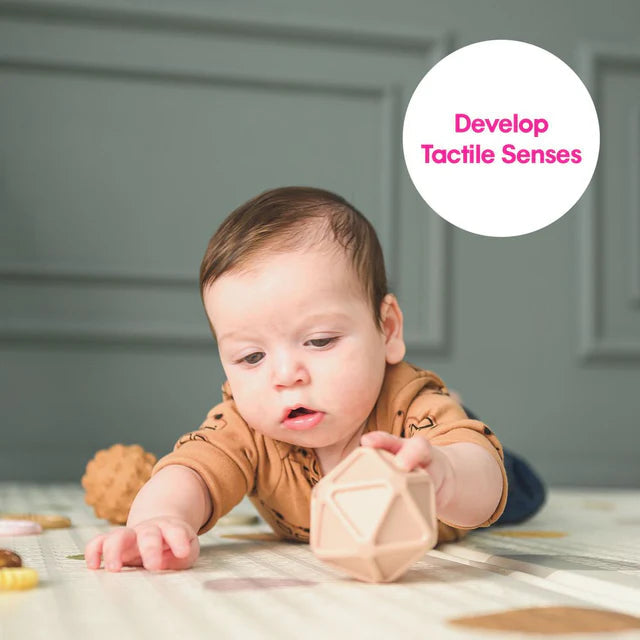 Edushape Baby Sensory Balls, Learning SPACE