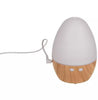 Egg Shaped Oval Aroma Diffuser, Learning SPACE