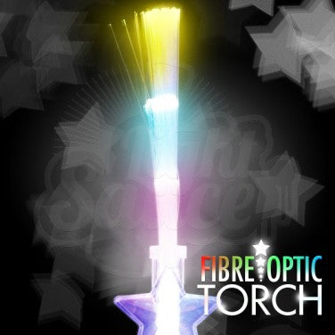 Fibre Optic Torch, Learning SPACE