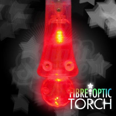 Fibre Optic Torch, Learning SPACE