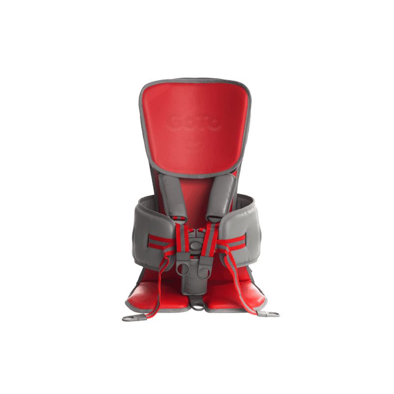 Firefly GoTo Seat Size 1: Ages 1-3, Learning SPACE