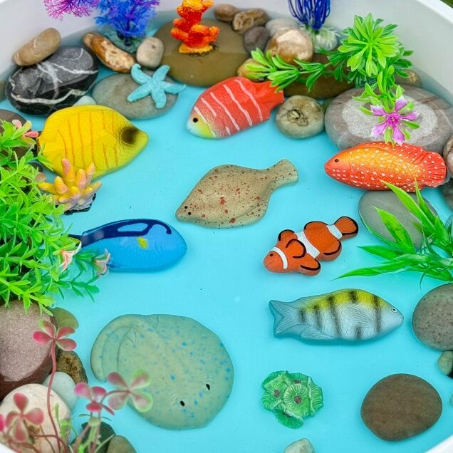 Fish – Sensory Play Stones, Learning SPACE