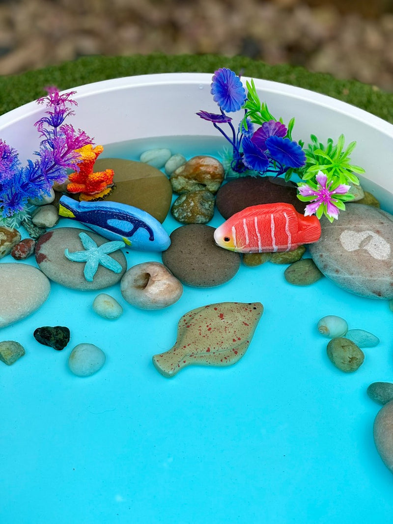 Fish – Sensory Play Stones, Learning SPACE
