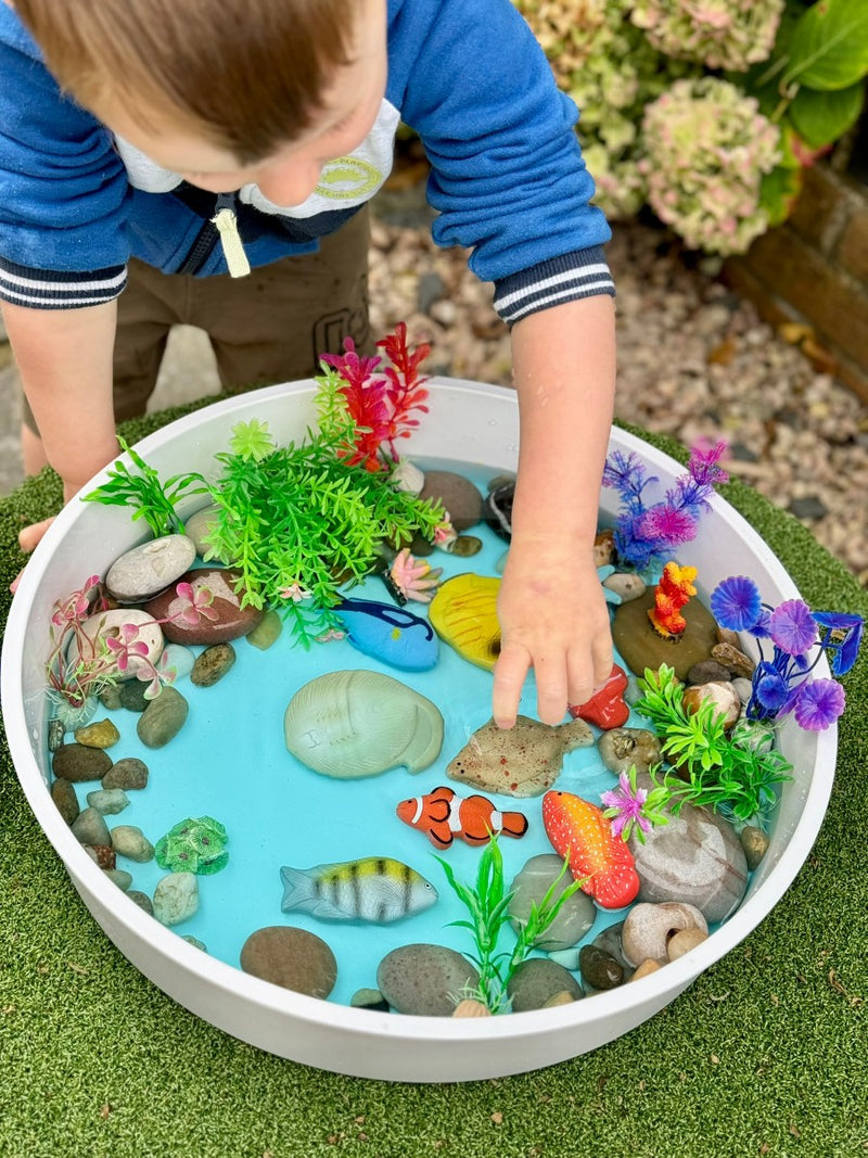 Fish – Sensory Play Stones, Learning SPACE