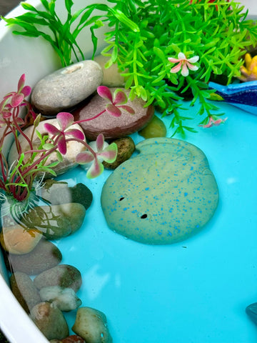 Fish – Sensory Play Stones, Learning SPACE