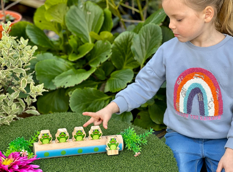 Five Frogs on a Log - Double-sided Number Line, Maths Toys Learning SPACE