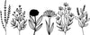 Flower Wall Decal, Black 52x20 cm Learning SPACE