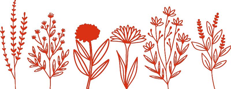 Flower Wall Decal, Red 52x20 cm Learning SPACE