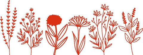 Flower Wall Decal, Red 52x20 cm Learning SPACE