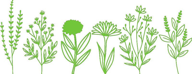 Flower Wall Decal, Green 52x20 cm Learning SPACE