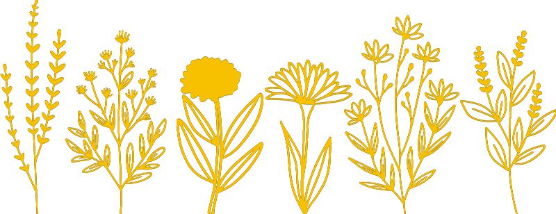 Flower Wall Decal, Yellow 52x20 cm Learning SPACE