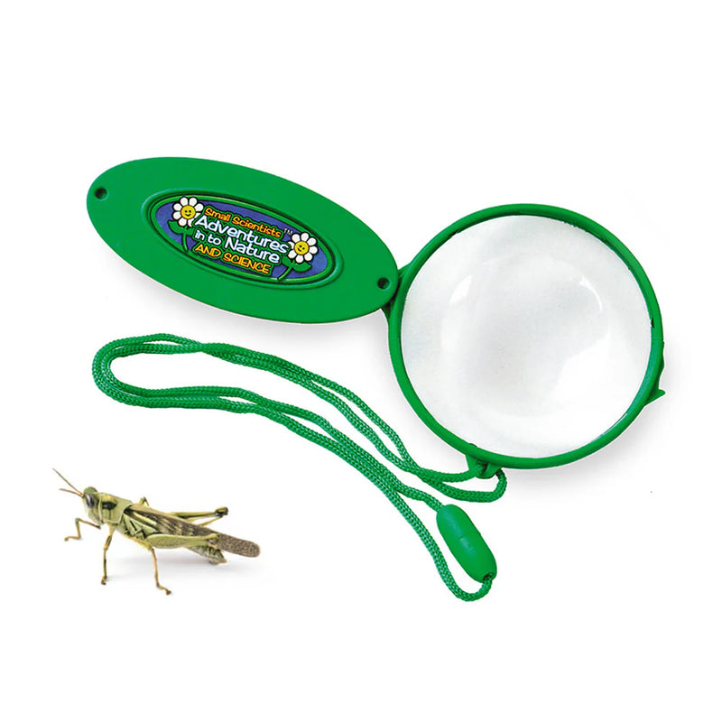 Folding Magnifiers - Handy Tools for Curious Explorers (Packs of 6 or 12), Learning SPACE
