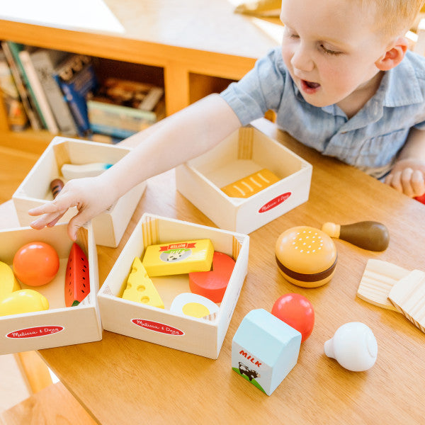 Food Groups - Wooden Healthy Food Play Set, Learning SPACE