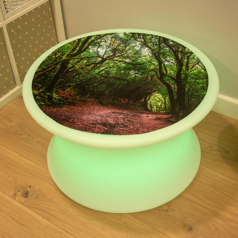 Forest Discovery Play Mat, Learning SPACE