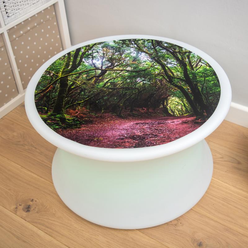 Forest Discovery Play Mat, Learning SPACE