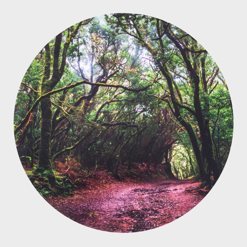 Forest Discovery Play Mat, Learning SPACE