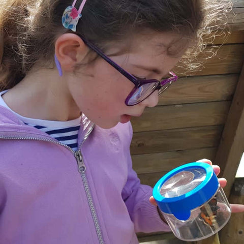 Forest School Starter Pack-Classroom Packs,Dropship,Early Science,EDUK8,Forest School & Outdoor Garden Equipment,Science,Spring-Learning SPACE