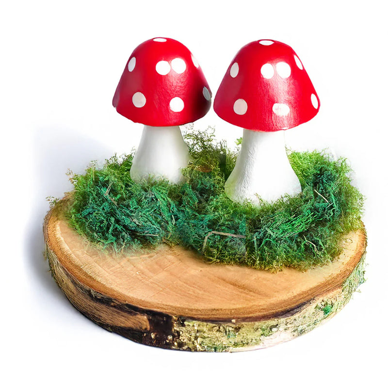 Forest Schools - Crafting Kit, Learning SPACE