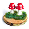 Forest Schools - Natural Woodland Kit, Learning SPACE