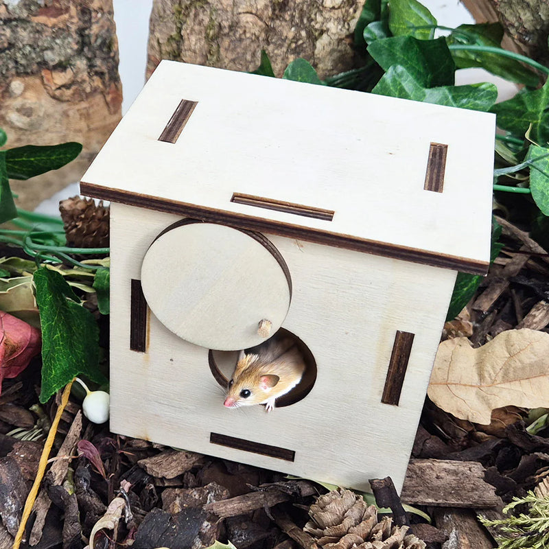 Forest Schools - Natural Woodland Kit, Learning SPACE