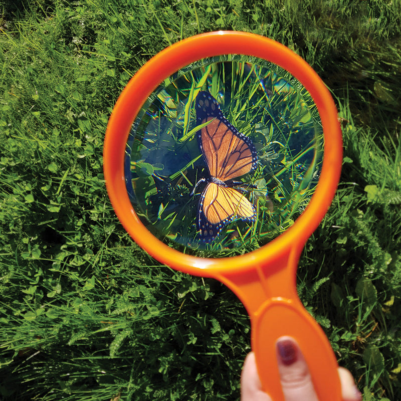 Giant Magnifying Kit, Learning SPACE
