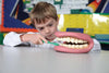 Giant Teeth Dental Demonstration Model, Learning SPACE