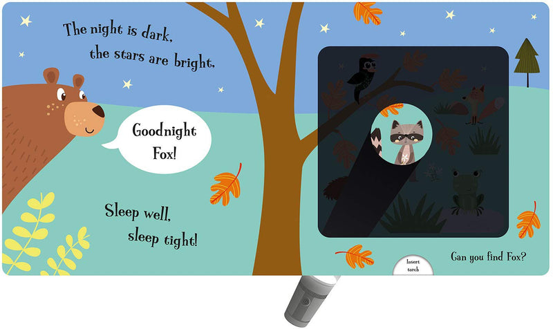 Goodnight Bear - Magic Torch Book, Learning SPACE