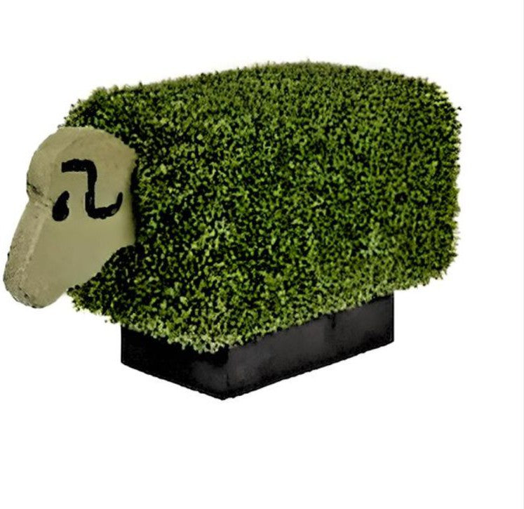 Grass Seating - Sheep, Learning SPACE