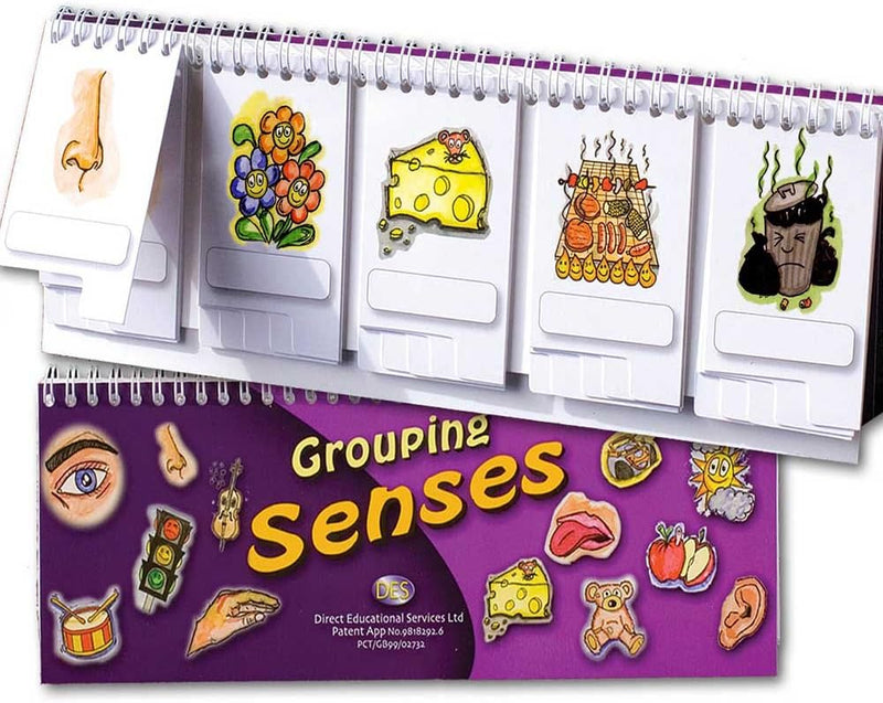 Grouping Senses flip Book, Learning SPACE