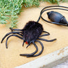 Hairy Scary Jumping Spider, Learning SPACE