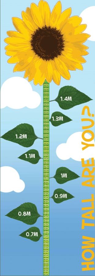 Height Chart - Sunflower Outdoor Sign, Learning SPACE