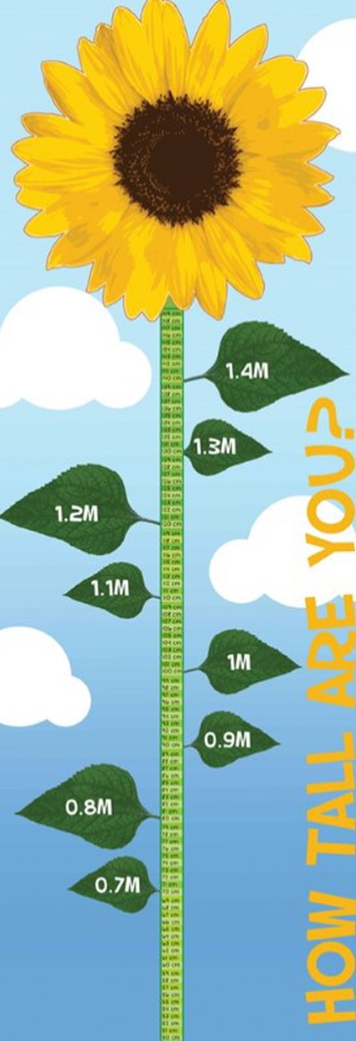 Height Chart - Sunflower Outdoor Sign, Learning SPACE