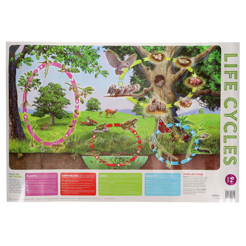 Help With Homework Pkt.3 Wallcharts - 9+ Nature-Back To School,homework,Nature,Nature Learning Environment,Nature Sensory Room,Primary Books & Posters,World & Nature-Learning SPACE
