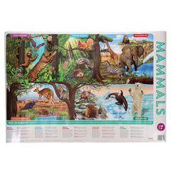 Help With Homework Pkt.3 Wallcharts - 9+ Nature-Back To School,homework,Nature,Nature Learning Environment,Nature Sensory Room,Primary Books & Posters,World & Nature-Learning SPACE