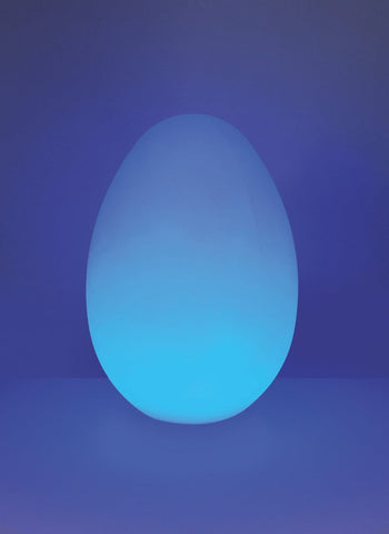 Interactive Mood Egg For Connect Pro Range-AllSensory,Connect Pro,Sensory Light Up Toys,Sensory Room Lighting,Visual Sensory Toys-Learning SPACE