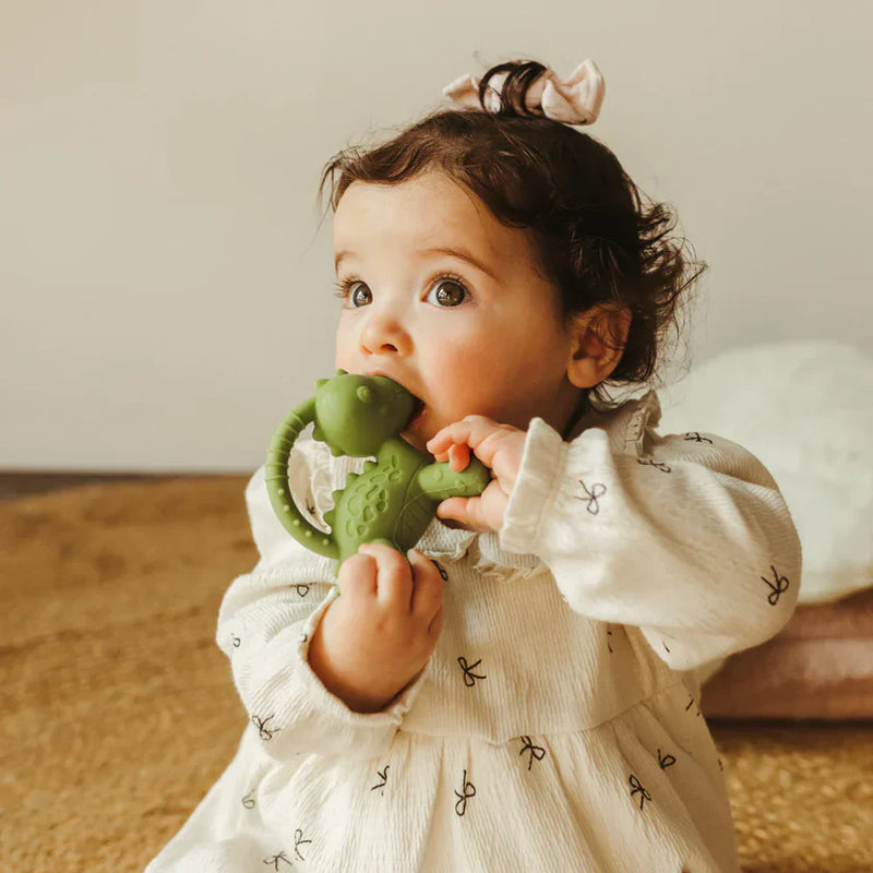 Jellystone Designs Dino Teether, Pacifiers, Teethers & Teething Relief Learning SPACE