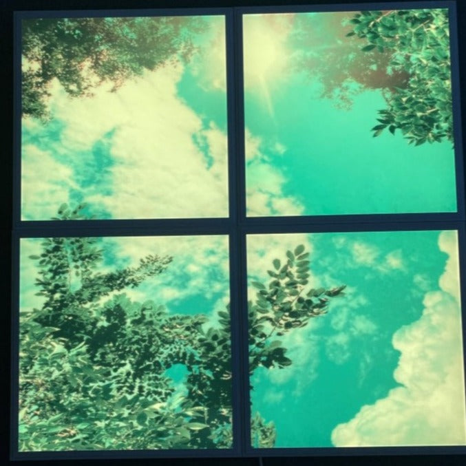 LED Tree Themed Ceiling Panel set of 4, Learning SPACE
