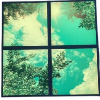 LED Tree Themed Ceiling Panel set of 4, Learning SPACE