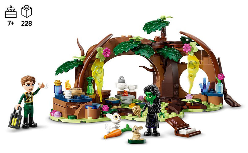 LEGO® (75687) Wicked - Elphaba's Retreat, Learning SPACE