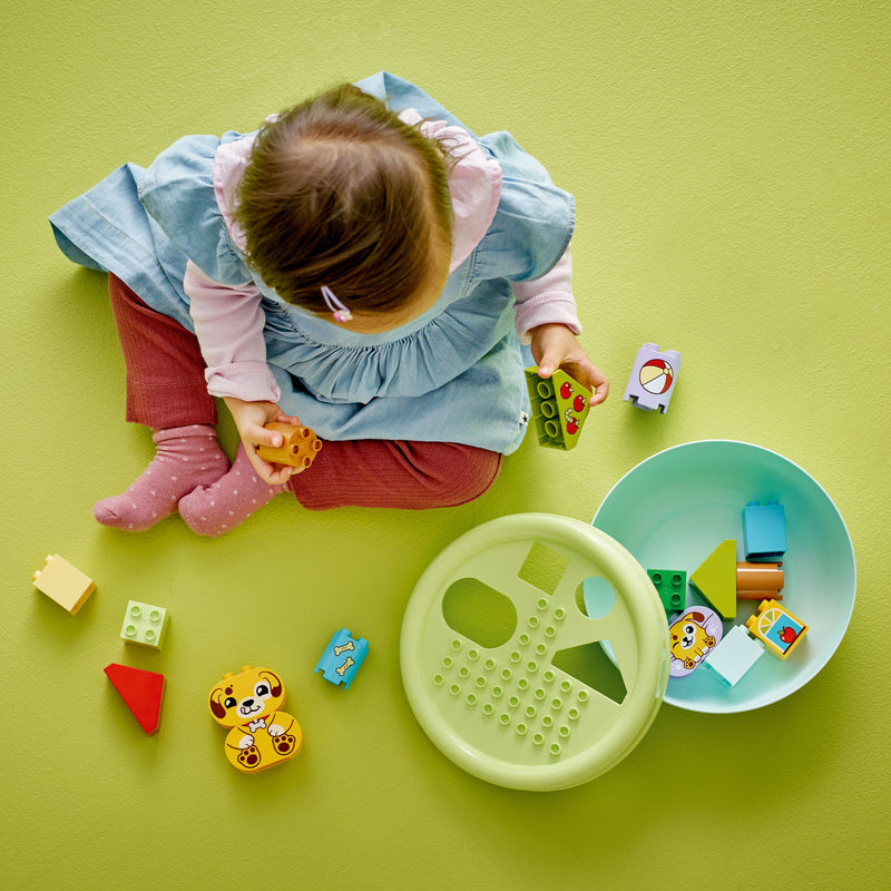 LEGO® DUPLO (10441) My First Shape Sorter: Puppy House, Learning SPACE