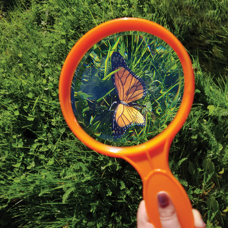Large Hand Held Magnifier, Learning SPACE