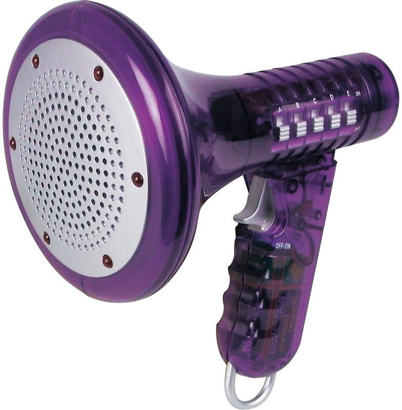 Large Voice Changer, Learning SPACE