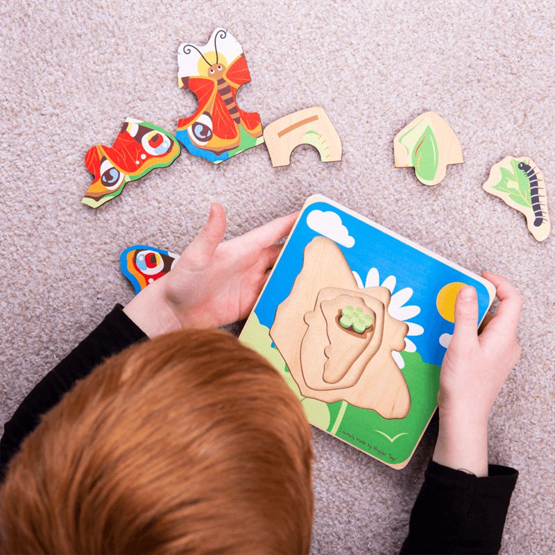 Lifecycle Layer Puzzle - Butterfly, Learning SPACE