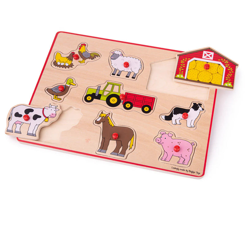 Lift Out Puzzle (Farm), Learning SPACE