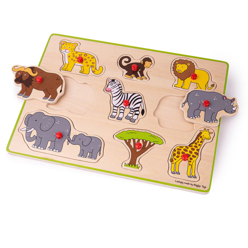 Lift Out Puzzle (Safari), Learning SPACE